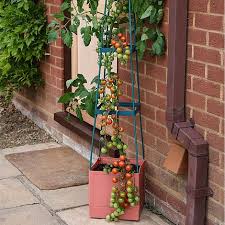 Garden Grow Self Watering Tomato Tower