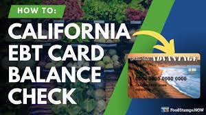 california ebt balance check