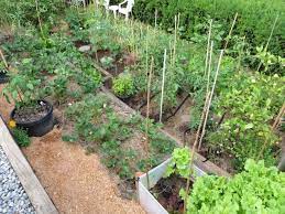 Vegetable Gardening On A Steep Slope