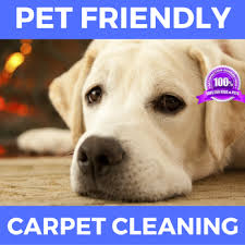 drycon knoxville carpet cleaning