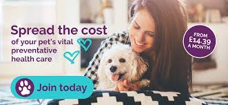 Orthopaedics (bones, joints, muscles), soft tissue surgery. The Healthy Pet Club Simple Cost Effective Preventative Care