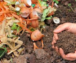 Top Tips On Starting A Compost Heap At