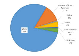 Race Ethnicity 2014 Community Counts Registry Report Cdc