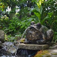 Bull Frog Water Feature Garden Wonders Uk