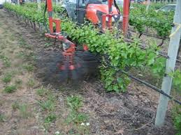 soil floor management vine tech