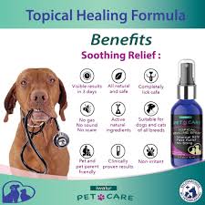 home remes for dog hair loss and