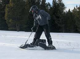 gas powered motorized snowboard