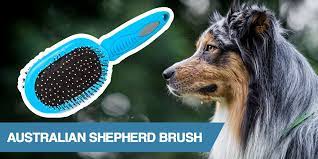 5 Best Brushes For Australian Shepherd 2021