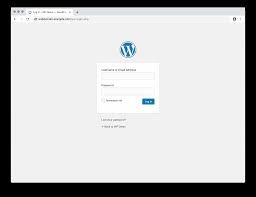 secure wordpress admin login