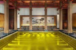 Check out these amazing indoor pools featuring creative designs to inspire and delight you. Indoor Swimming Pool Design Ideas