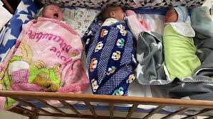 Kyiv Surrogate Babies