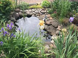 Compacting Clay Soil For A Micro Pond