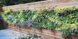Outdoor Living Plant Walls