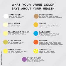 urine color chart colorful symbols
