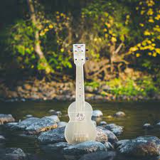 outdoor ukulele soprano moonshine