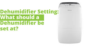 dehumidifier setting how to set a