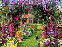 summer garden flowers and house