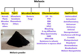 melanin biopolymers from microbial