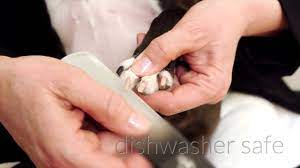 how to file your dog s nails instead of