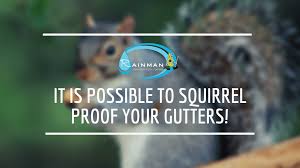 Squirrel Proof Your Gutters