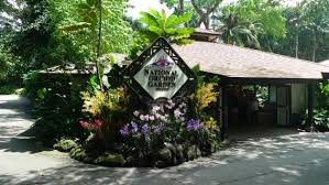 national orchid garden singapore
