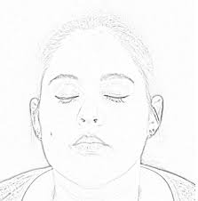 Nancy Mendoza How To Make Your Own Face Chart