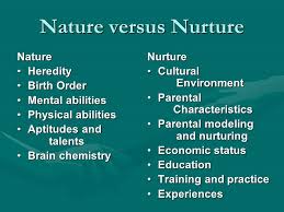 Nature Vs Nurture Essays Free Mistyhamel