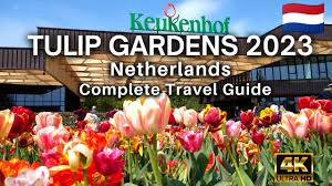 keukenhof gardens 2023 tulip