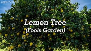 fools garden lemon tree sub español