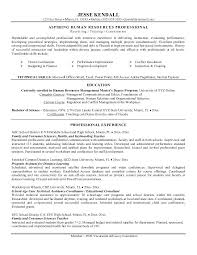 Resume Writing Objectives Multiple Career Resume Examples Sample
