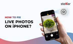 fix live photos not working on iphone