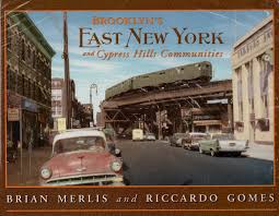 books 10 brooklyn s east new york