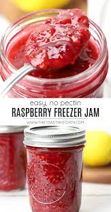 raspberry freezer jam the toasty kitchen