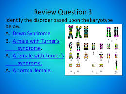 As understood, triumph does not suggest that you have astounding points. Objective Identify And Differentiate Between Karyotypes Iot Diagnose Chromosomal Disorders Drill 1 Horses Have 64 Chromosomes In Each Body Cell If Ppt Download