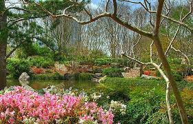 16 Beautiful Gardens In Houston And