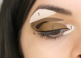 makeup 101 eyeshadow basics loepsie