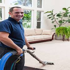 the best 10 carpet cleaning in sarasota