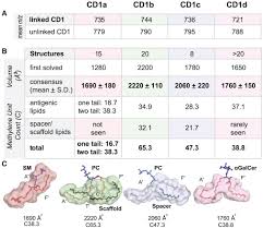 Cd1 Lipidomes Reveal Lipid Binding
