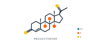 Progesterone Definition Levels Symptoms Of Low