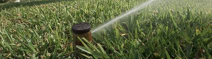 Lawn Watering Restrictions South Florida Water Management
