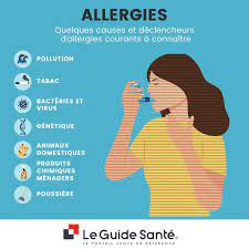 Allergies : symptômes, causes, traitements et prévention | Le Guide Santé