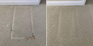 spotacular carpet cleaning