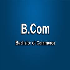 Christ University Bangalore BBA Honours Direct Admission