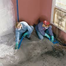 Get Rid Of Mold In Your Basement In 8