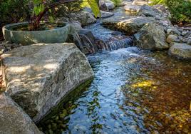 Pond Maintenance Tips For Clean Water