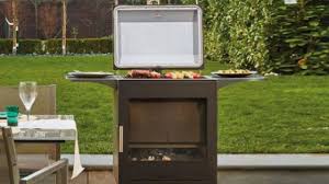 should you a pizza oven or bbq