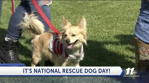 The worcester red sox introduced a new mascot on national dog day. It S National Rescue Dog Day Kyma