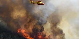 Incendie dans l'Hérault : le feu qui a brûlé 800 hectares de végétation est  fixé