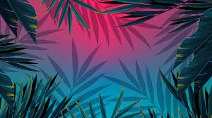 Do you want aesthetic wallpaper? Aesthetic Pc Wallpaper 4k Palm Leaves