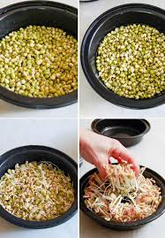 mung bean sprouts how to grow your own